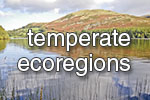 temp_lakes