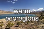 warm_lakes