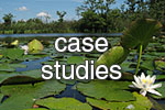 case studies