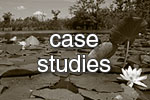 case studies