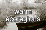warm_wetlands
